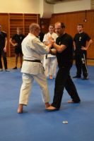 Bild (20)
